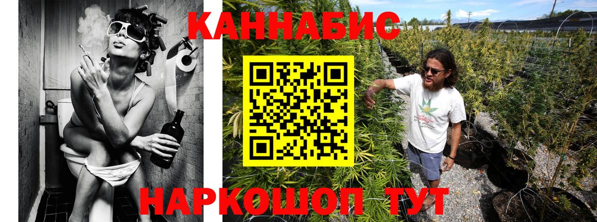 Бошки Шишки индика  Марихуана план  Марихуана OG Kush  Каннабис VHQ  Вход с VPN  Энгельс 